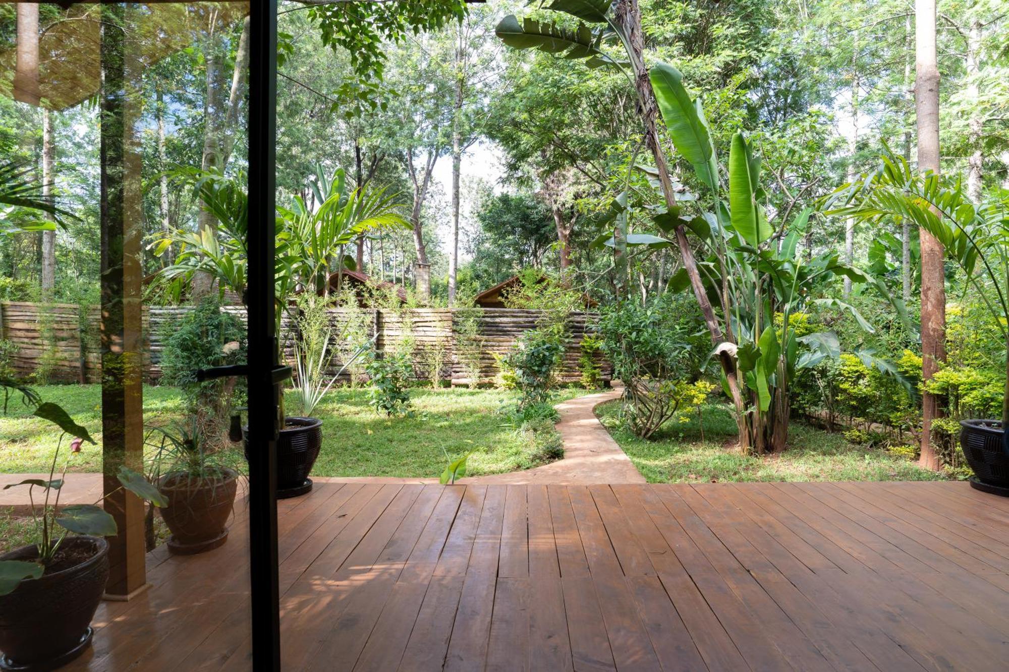 The Jungle Oasis With Heated Pool Daire Nairobi Dış mekan fotoğraf