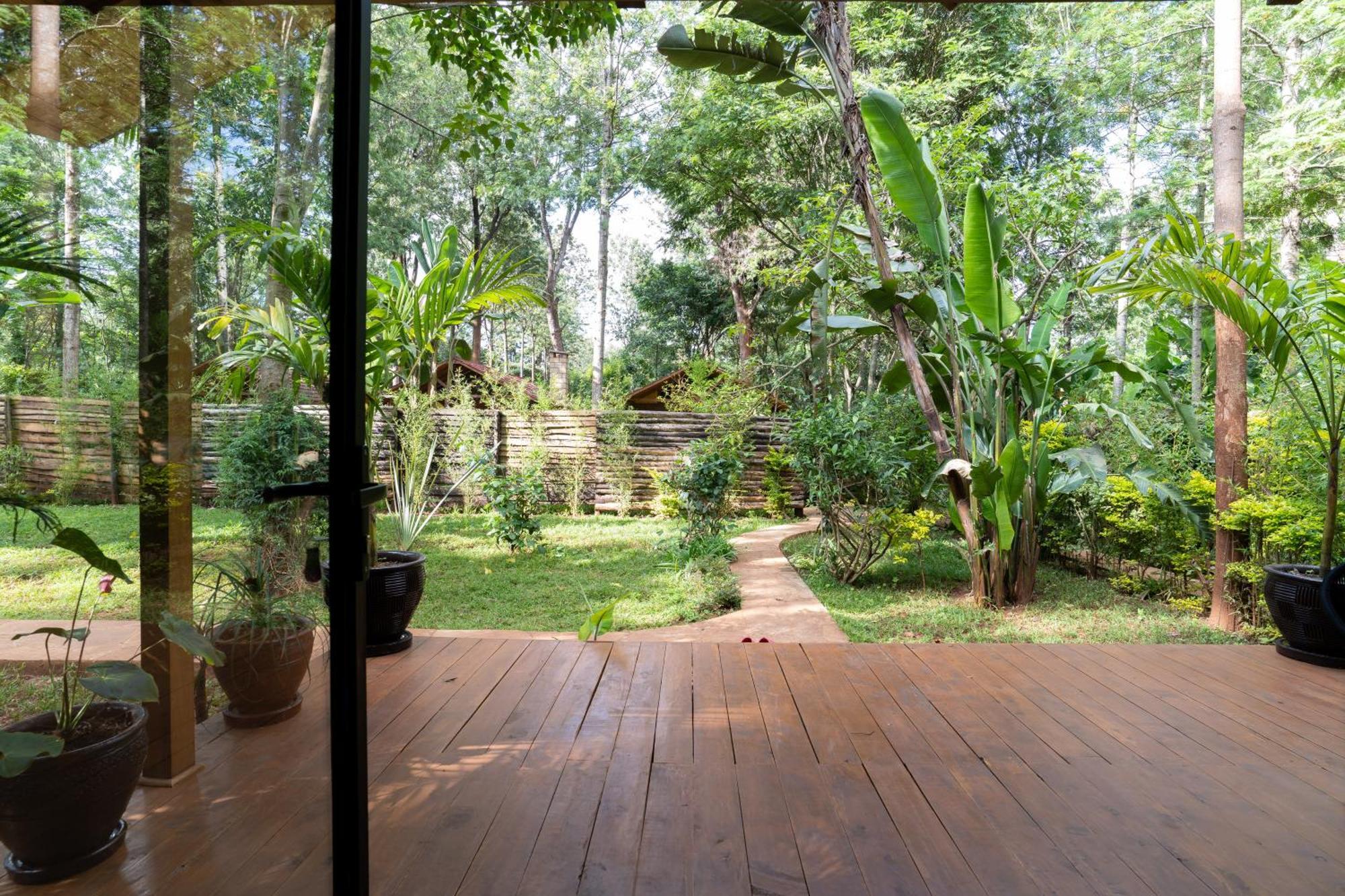 The Jungle Oasis With Heated Pool Daire Nairobi Dış mekan fotoğraf